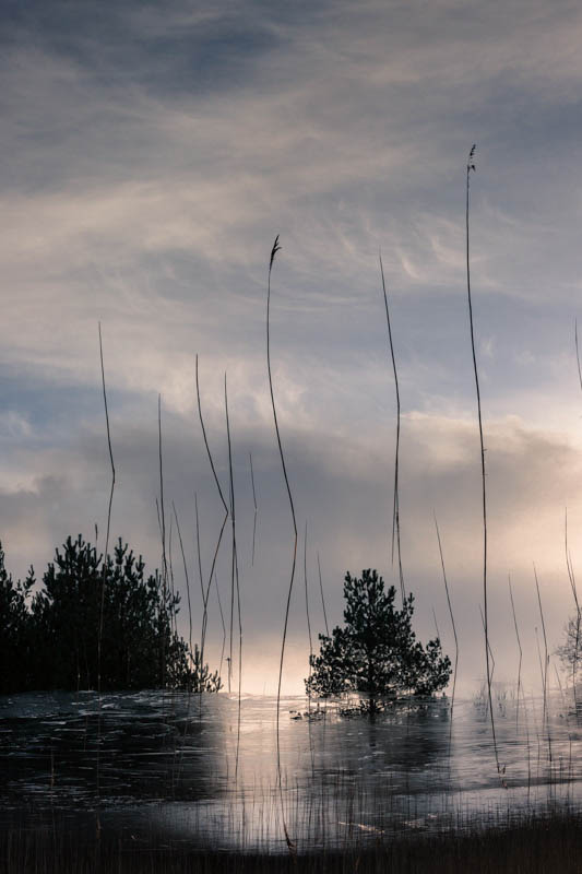 Wonderland on ice | Veggbilder | Fotokunst til salgs | Kunstfoto | Kunst | Foto | Bilde