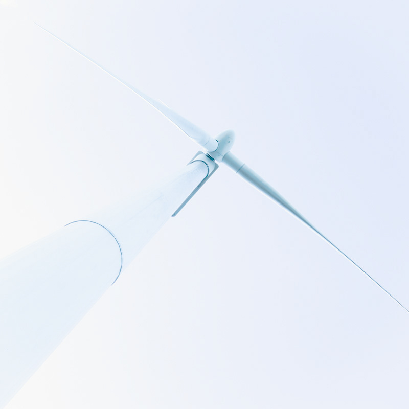 Milj&oslash;vinger | Veggbilder | Fotokunst til salgs | Kunstfoto | Kunst | Foto | Bilde