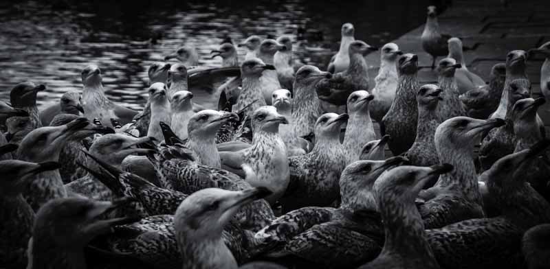 Allmannam&oslash;te | Veggbilder | Fotokunst til salgs | Kunstfoto | Kunst | Foto | Bilde